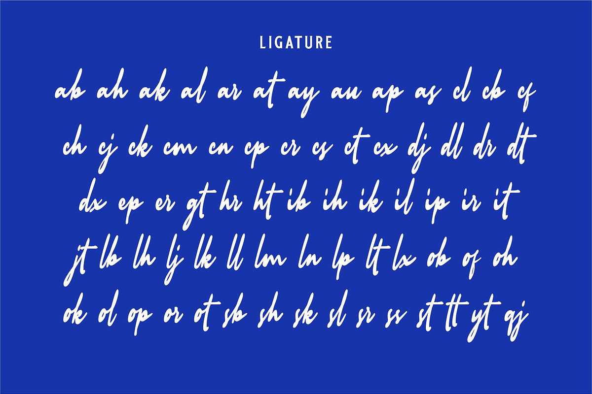 AUTHENTIC RADIO | Signature Logo, a Handwritten Font by Havinkpen (Photo 15 of 15)
