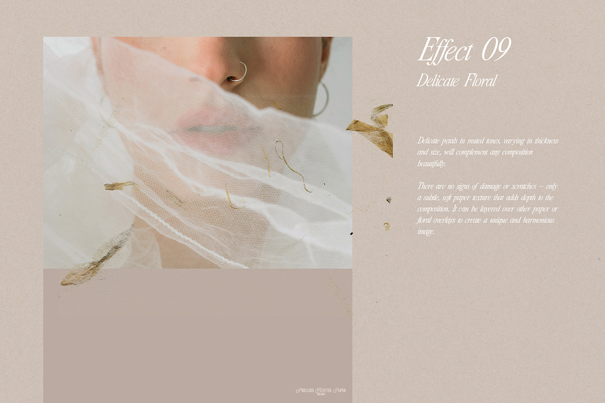 Pressed Flower Paper Effects, a Layer Style Add-On by Kaleriia (Photo 18 of 21)