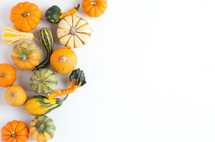 Gourds & pumpkins fall stock image containing stock, photos, and stock photos, a Holiday Photo by Handmade Creative 