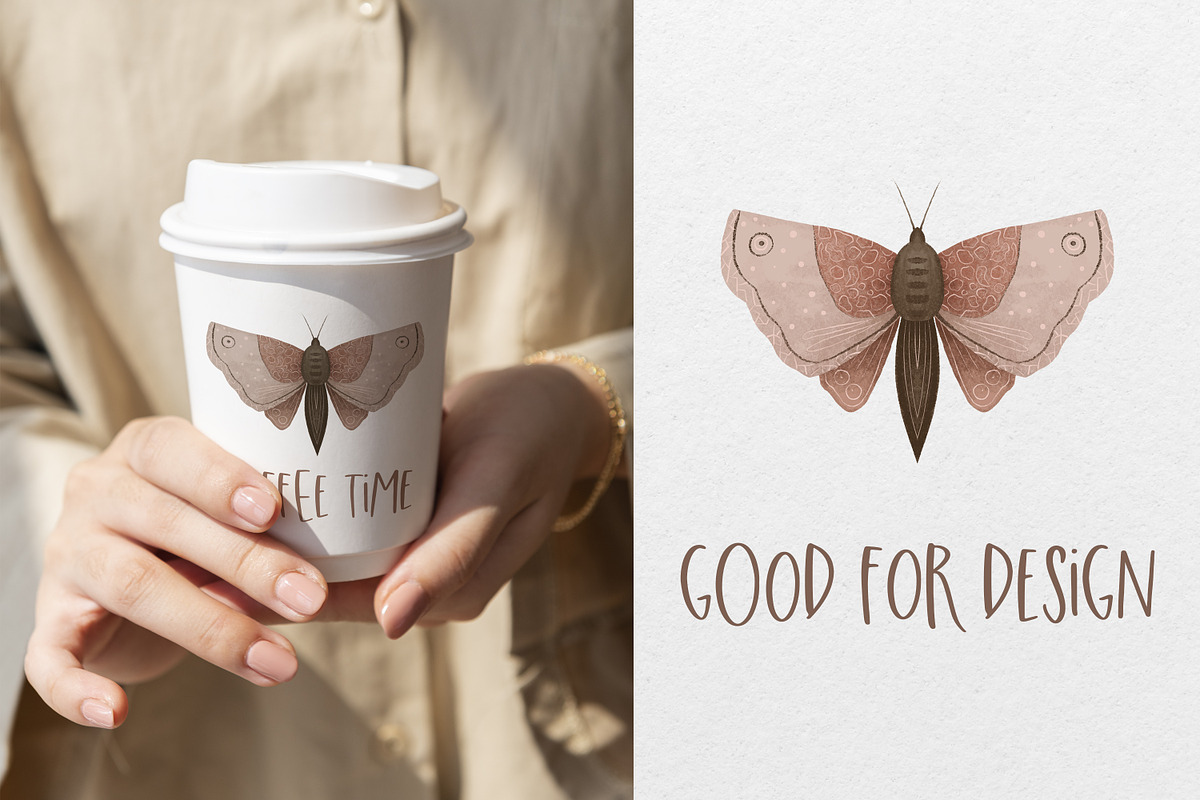 Hand-drawn Butterfly & Moon Moth, an Animal Illustration by the_myro (Photo 3 of 5)