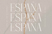 Qelthan A Modern Serif Display, a Serif Font by Storytype Studio (Thumbnail 2 of 15)