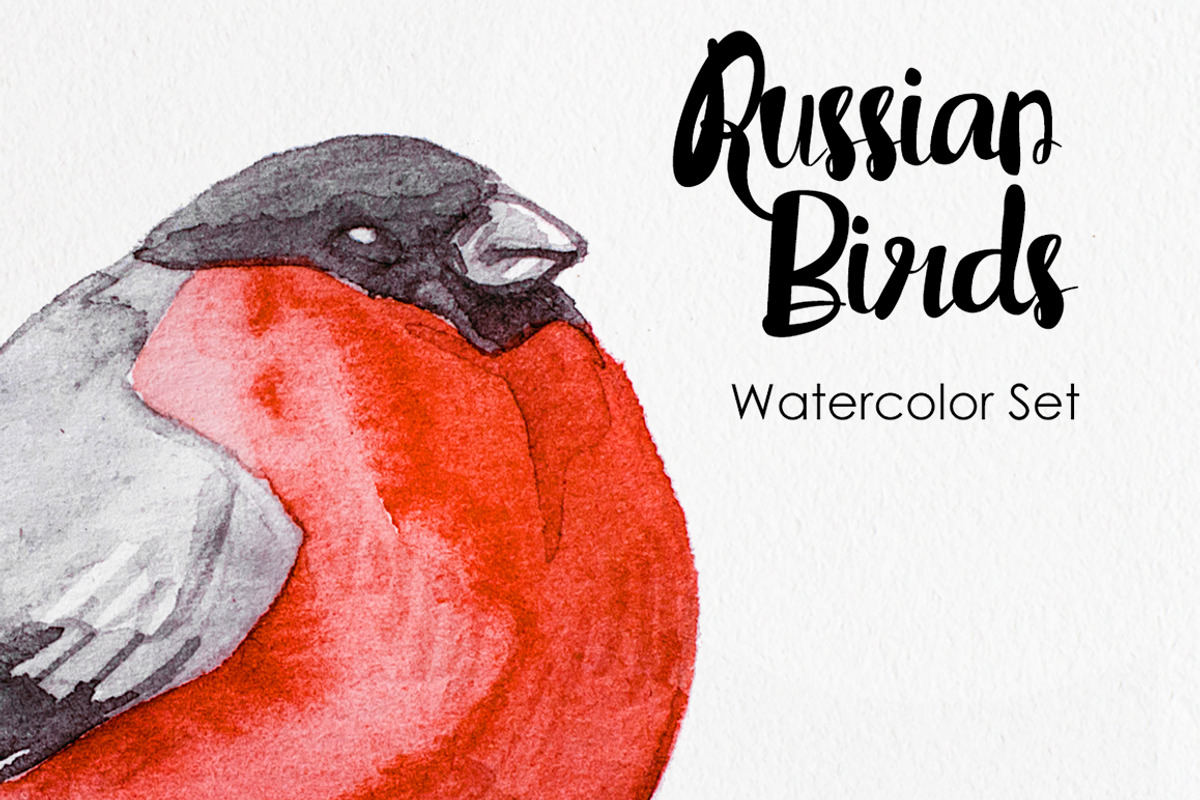 Watercolor Russian Birds, an Animal Illustration by Anna Faun (Photo 1 of 4)