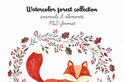 Watercolor autumn collection, an Animal Illustration by MoleskoStudio (Thumbnail 3 of 10)