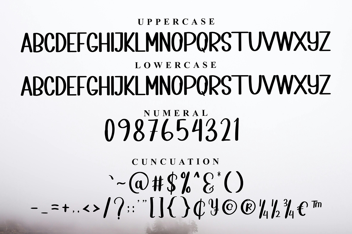 Farmhouse, a Sans Serif Font by FreshTypeINK (Photo 3 of 8)