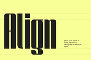 Solene Display - Logo Branding Font, a Sans Serif Font by Nirmana Visual (Thumbnail 4 of 15)