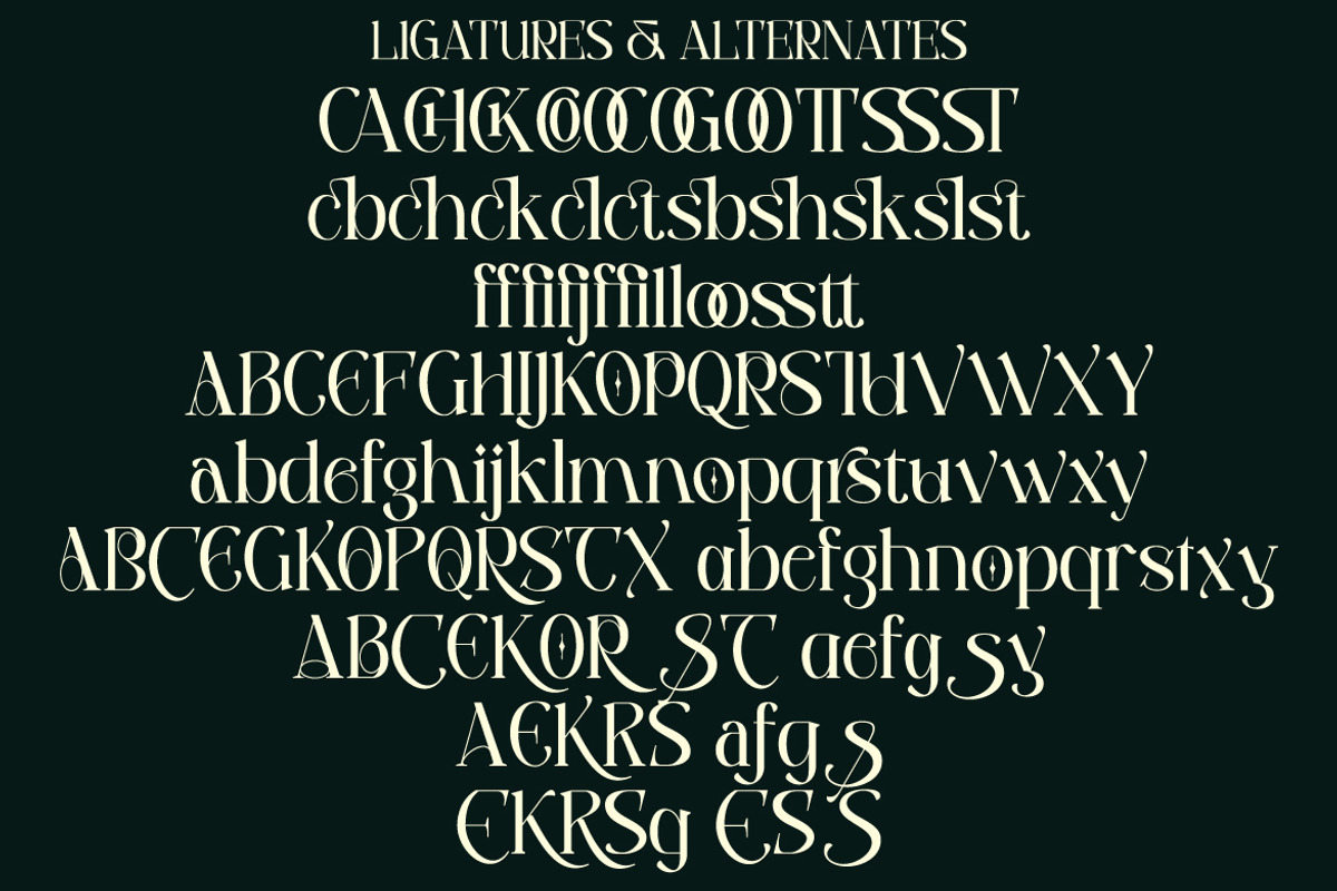Permola - Display Serif, a Serif Font by tebaltipislab (Photo 18 of 20)