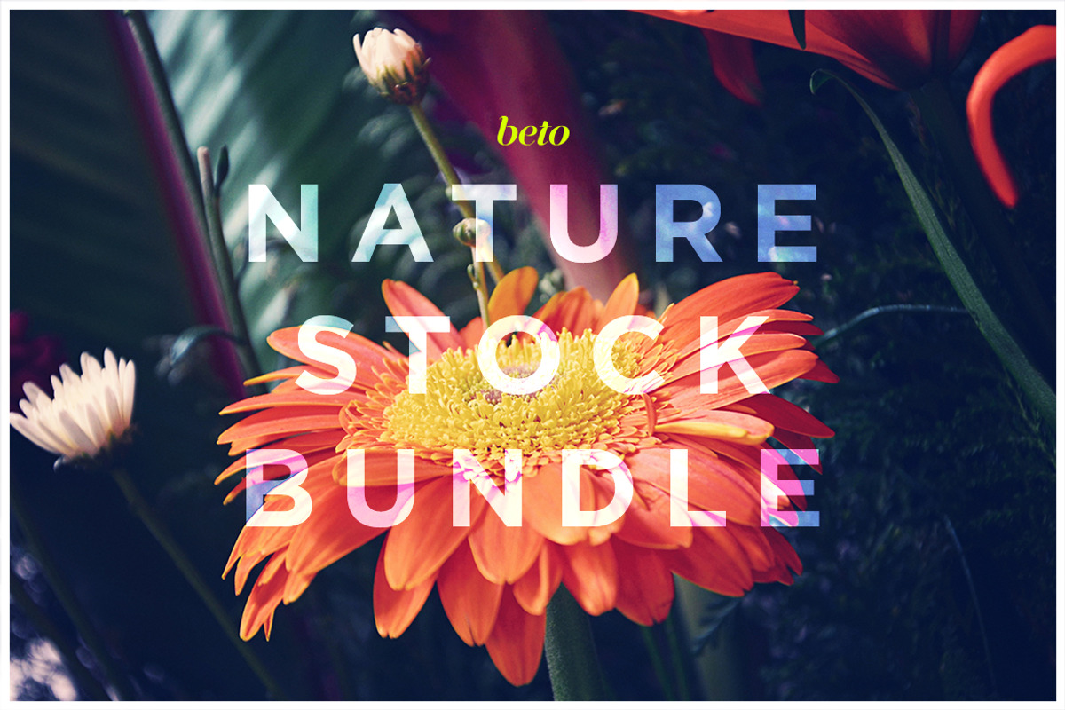 The Never Ending Bundle, a Background Graphic by beto (Photo 15 of 34)