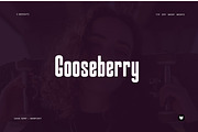 Gooseberry - Bold Typeface + Webfont, a Sans Serif Font by Foxtype (Thumbnail 1 of 7)