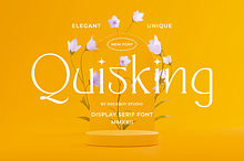 Quisking - Display Serif Font