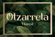 Malegis, a Sans Serif Font by Skypia (Thumbnail 8 of 13)