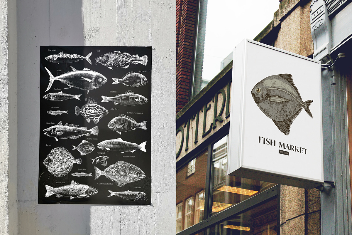 Most popular edible sea fishes, a Food Illustration by handsketched (Photo 7 of 14)