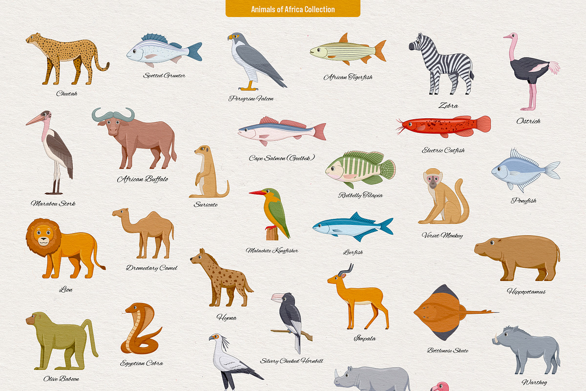 234 Animals of the World, an Animal Illustration by Genestro Shop (Photo 2 of 7)