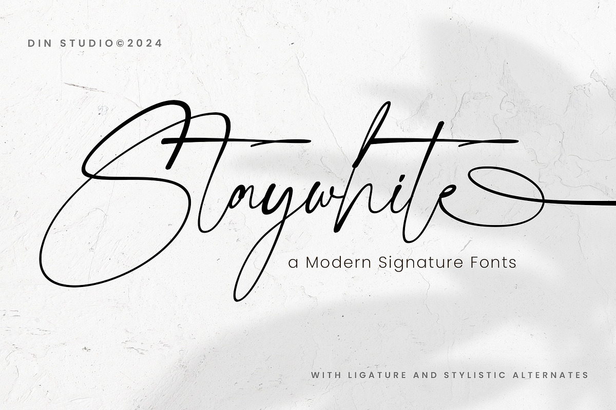 Staywhite, a Script Font by din-studio.com (Photo 1 of 12)