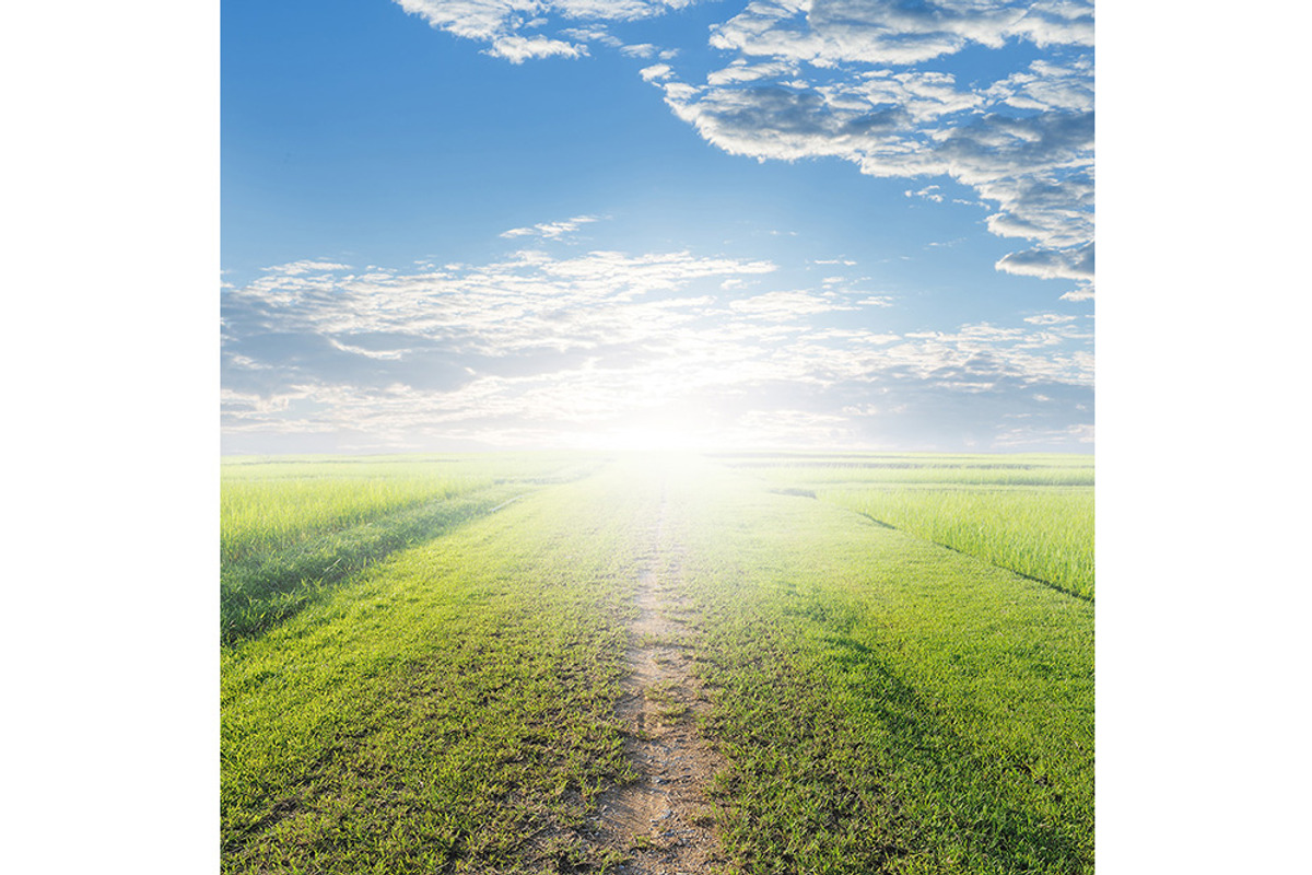 50 Fields background Set 01, a Texture Graphic by FWStudio (Photo 11 of 13)