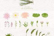 Swamp flora and fauna, an Animal Illustration by kateja (Thumbnail 5 of 6)