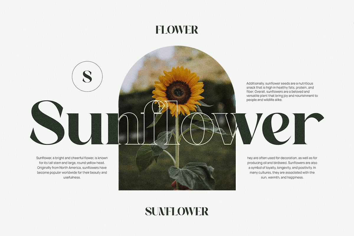 Nampy Elegant Serif Font, a Serif Font by Graphicxell (Photo 9 of 10)