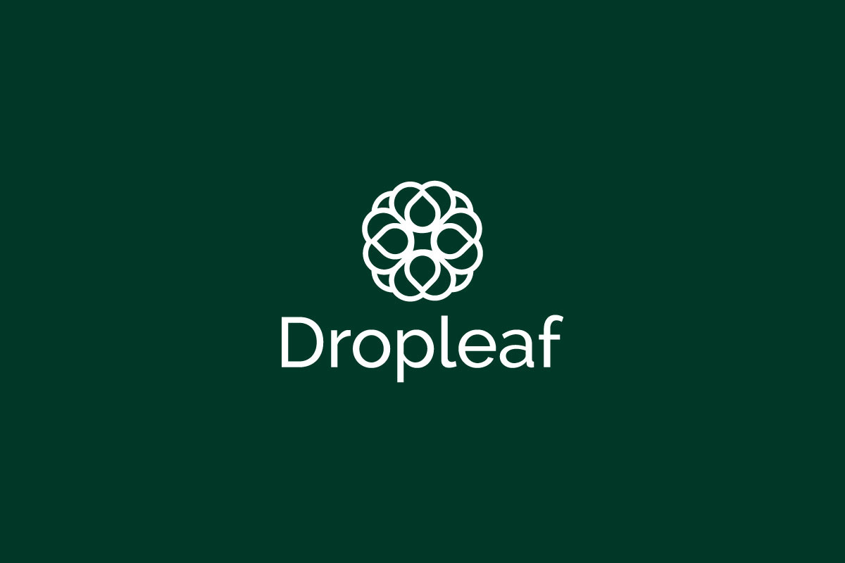 Dropleaf – Modern Nature Logo Design, a Branding & Logo Template by arhabib (Photo 10 of 13)