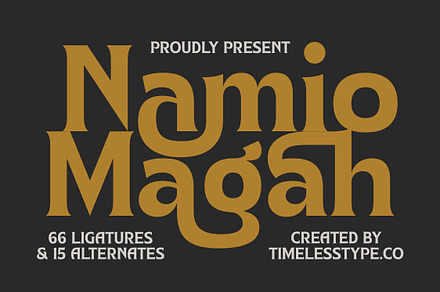 Namio Magah Modern Display Serif, a Serif Font by timelesstype.co
