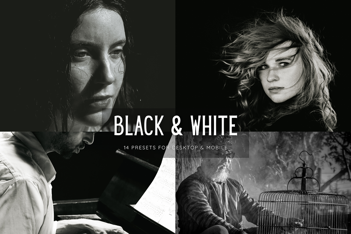 14 Black and White Lightroom Presets, a Preset Add-On by RamsaGraphi (Photo 1 of 9)