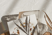 POPPY & BARLEY Autumn Wildflowers, a Seasonal Illustration by Muse Artist (Thumbnail 14 of 14)