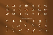 Subys Elegant Display Serif Font, a Serif Font by Graphicxell (Thumbnail 8 of 8)
