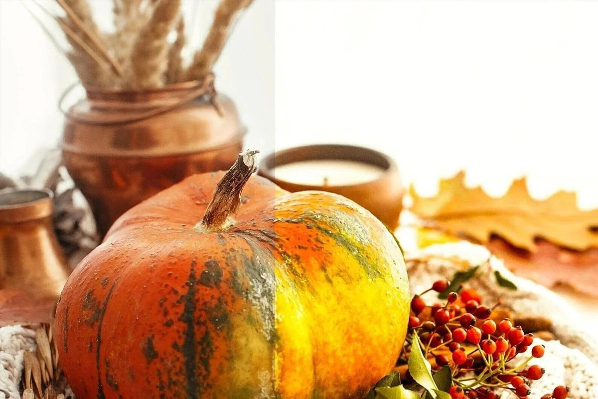 10 Pumpkin Mobile Lightroom Presets, a Preset Add-On by LucaTheme (Photo 8 of 9)