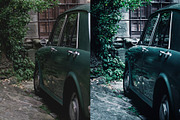 Carnation Adobe Lightroom Preset, a Preset Add-On by Voleshads (Thumbnail 4 of 8)