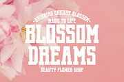 Cherry Blossom - Modern Slab Serif, a Slab Serif Font by Pian45 Studio (Thumbnail 3 of 8)