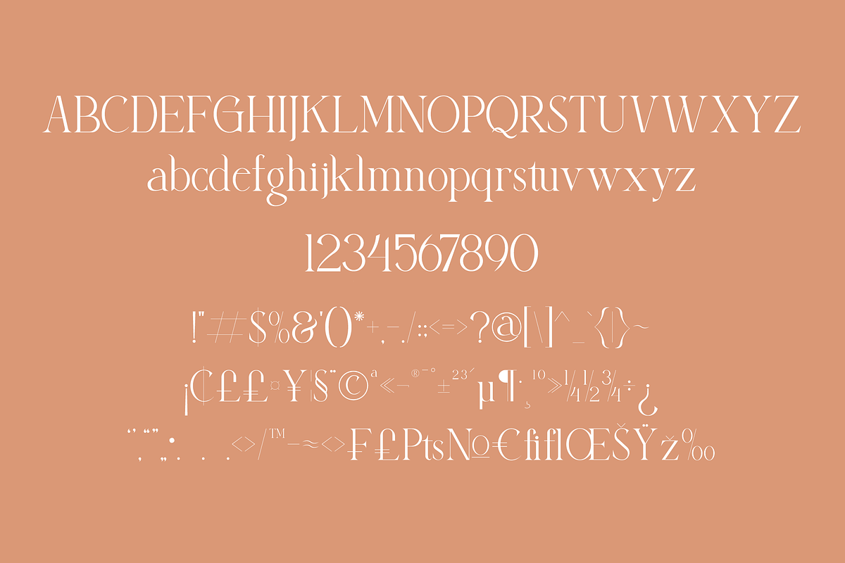 Balona Modern Serif, a Serif Font by Maryamtype Studio (Photo 12 of 13)