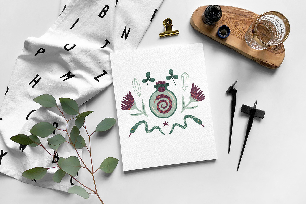 Mushrooms. Vector collection, an Illustration by katieromanoff_art (Photo 10 of 13)