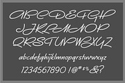 Muy Bueno, a Script Font by Art And Sign Unlimited (Thumbnail 3 of 3)