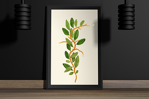 Botanical Illustrations - 40 PNG