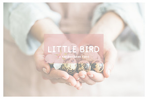 Little Bird A Handwritten Font