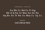 Aesthetic Mofash - Luxury Bold Font, a Serif Font by QR Design Studio (Thumbnail 9 of 13)
