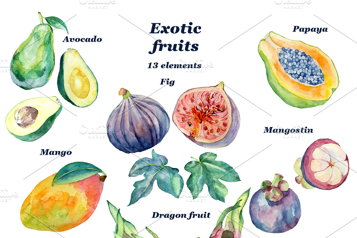 Set of watercolor fruits, an Illustration by Watercolor arts (Photo 2 of 4)