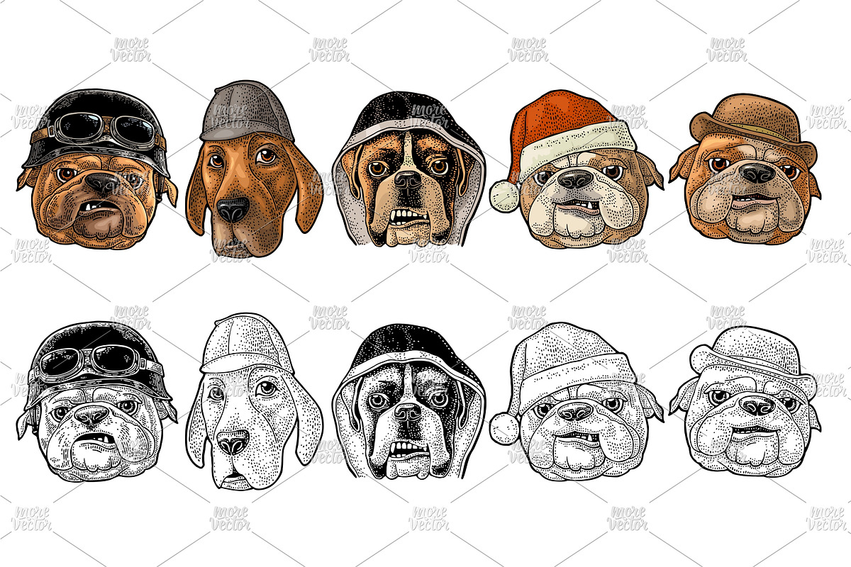 Head dog with human hat, an Animal Illustration by MoreVector (Photo 1 of 4)