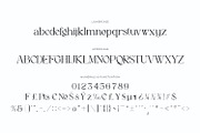 Astafine - Serif Typeface Family, a Serif Font by Rishsketch (Thumbnail 13 of 16)