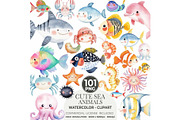 Cute Sea Animals Watercolor Clipart, an Animal Illustration by CharmClipart (Thumbnail 1 of 9)
