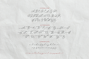 Wedding Couple, a Script Font by Colllab Studio (Thumbnail 8 of 19)