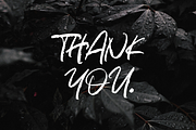 Bright Light, a Script Font by Omotu Studio (Thumbnail 12 of 12)