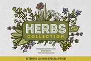 Herbs Collection, a Food Illustration by Chelovector (Thumbnail 1 of 4)