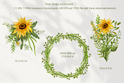 Sunflowers Watercolor Collection, an Illustration by Anna Druzhkova (Thumbnail 3 of 17)
