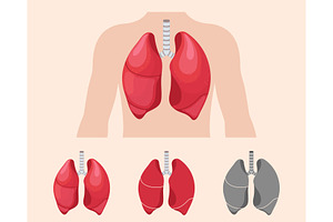 Human lungs anatomy, a Healthcare Illustration by Yayasya