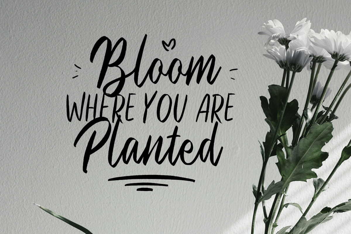 Black Hymned - Font Trio, a Script Font by Littlehand (Photo 9 of 9)