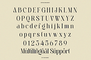 Sefina Brandish - Beauty Luxury Font, a Serif Font by Font Liner (Thumbnail 9 of 10)