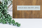 Wood Sign Mockup - Wedding Botanical, a Product Mockup by Harbor Design Co (Thumbnail 2 of 2)