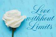Romantica Caligraphy Modern Font, a Font by RHD Creative Studio (Thumbnail 2 of 9)