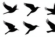 Flying Bird Silhouette Bundle, an Illustration by Creativeshirt (Thumbnail 8 of 10)