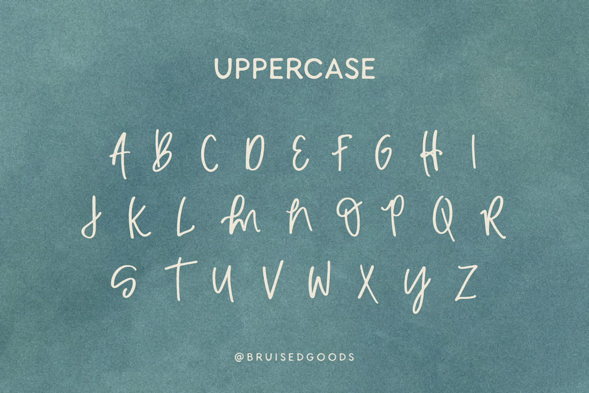 Sun Bum + Pelicano, a Handwritten Font by Bruised Goods (Photo 6 of 7)