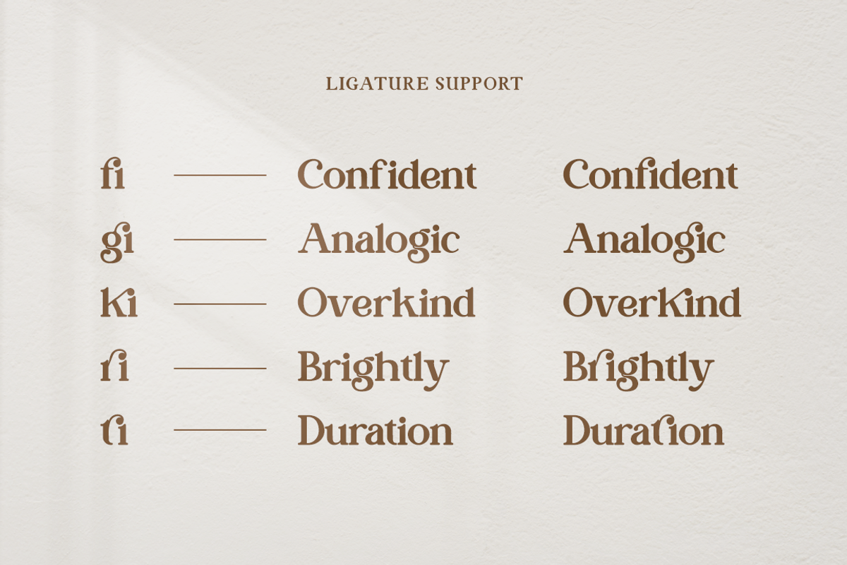 Contagia - Modern Stylish, a Serif Font by RockboyStd (Photo 8 of 12)